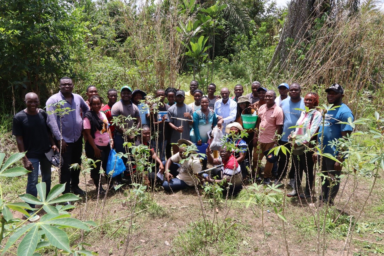 Liberia Agriculture